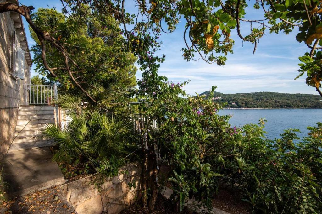 Vila Diamond Sea - Vacation House With Private Parking And A Big Terrace Over The Sea Dubrovník Exteriér fotografie